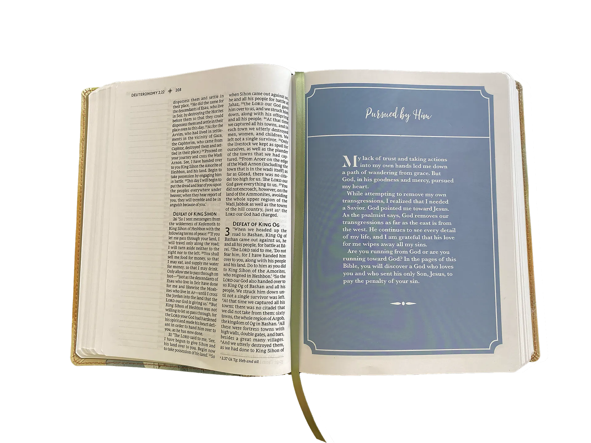 Anne Neilson Angel Bibles