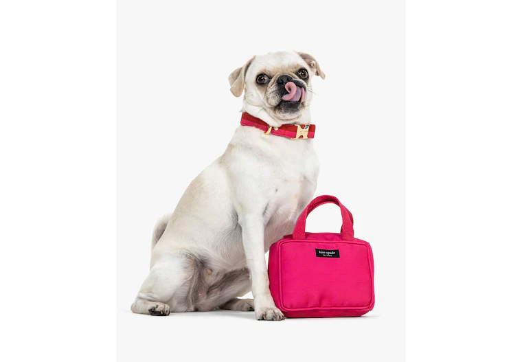 Kate Spade Chew Toy