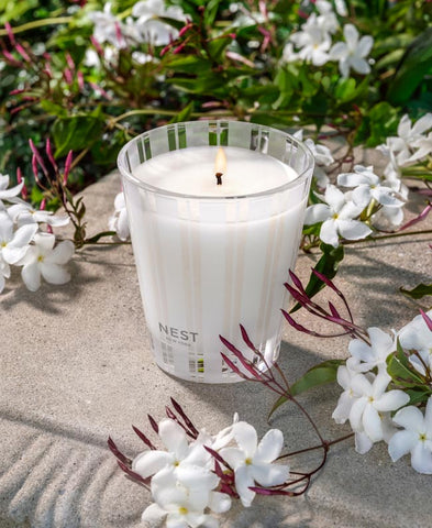 Nest New York Indian Jasmine
