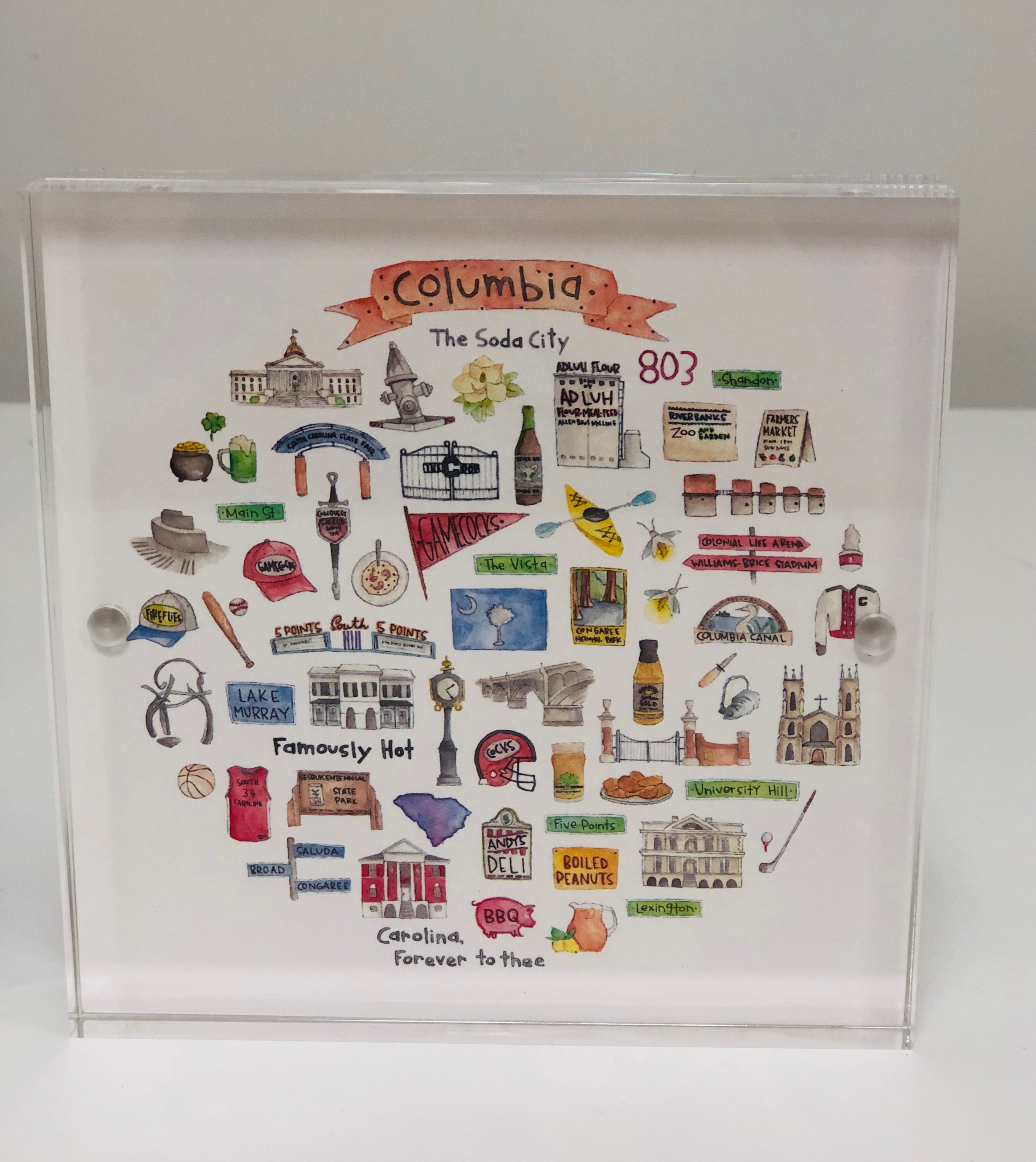 College Towns Framed Acrylic Pictures