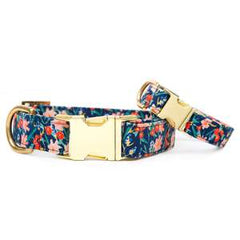 Assorted Dog Collars