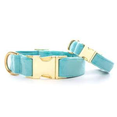 Assorted Dog Collars