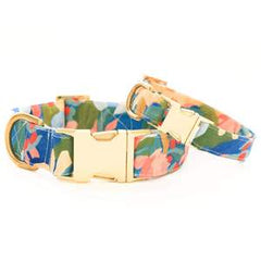 Assorted Dog Collars